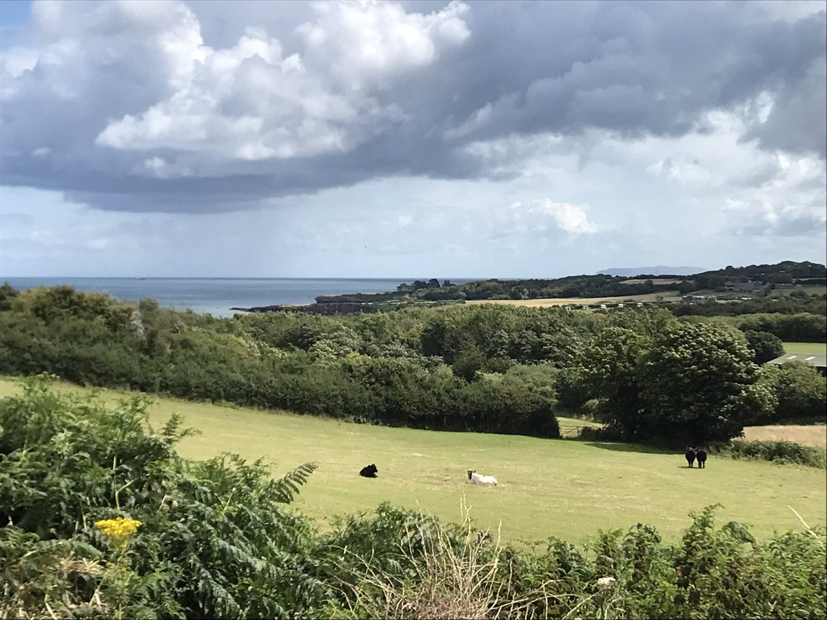 A stunning location for a wonderful festival! Folk on the Farm, you were just gorgeous ❤️ We - Michell, Pfeiffer & Kulesh - loved our #Anglesey 🏴󠁧󠁢󠁷󠁬󠁳󠁿 adventure! * @odettemichell @paulwalker239 @DariaKulesh