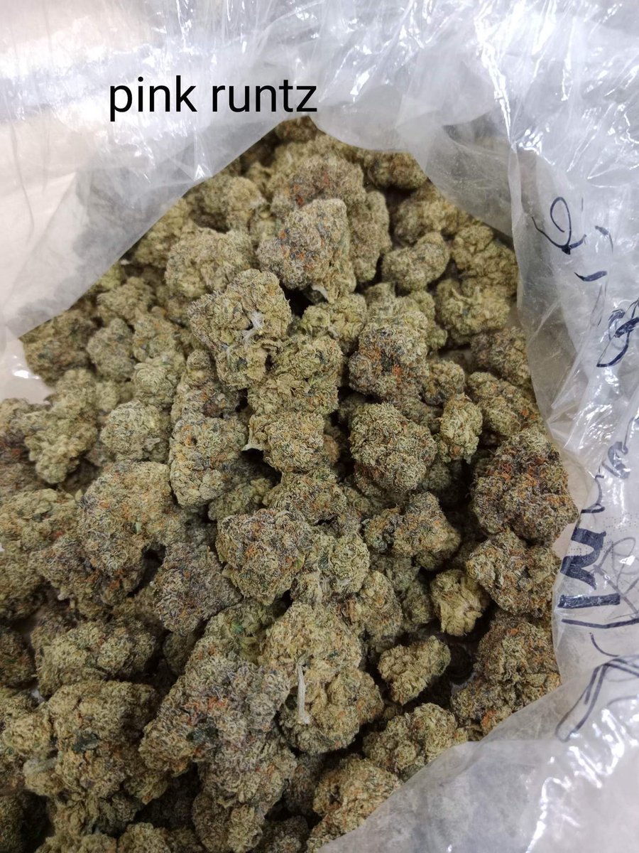 riseandshine619's tweet photo. Pink Runt 🩷 Exotic USA 🇺🇸
350/g bath

Flavors : STRAWBERRY Sweet
Feeling: Giggly, Happy
THC 26%

#kingofweed #กัญชาดินแดง #กัญชาไฟฟ้า #กัญชากรุงเทพ #importcanada #importusa #กัญชารังสิต #กัญชานวมินทร์ #cannabis #marijuanna #weed #กัญชาสุทธิสาร #riseandshine619 https://t.co/lEZB45TUYW
