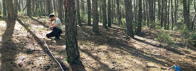 IngForestal50's tweet photo. Explorando el impacto de la gestión forestal en la biodiversidad fúngica del suelo en bosques mediterráneos

https://t.co/wGqLlsNcGN vía @FCesefor https://t.co/SuX4OnXIk3
