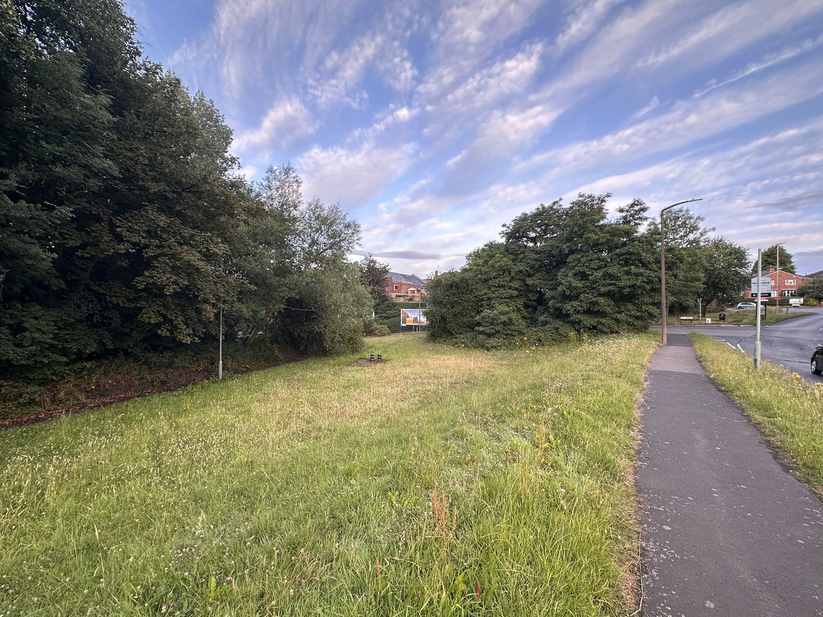 ChrisQuarryBank's tweet photo. Hi @sandwellroads. This tree has fallen down overnight blocking the footpath between Forge Lane and Cradley Forge. Could someone attend please to clear it? Thanks in advance 😊 https://t.co/SeI5RNCPbQ