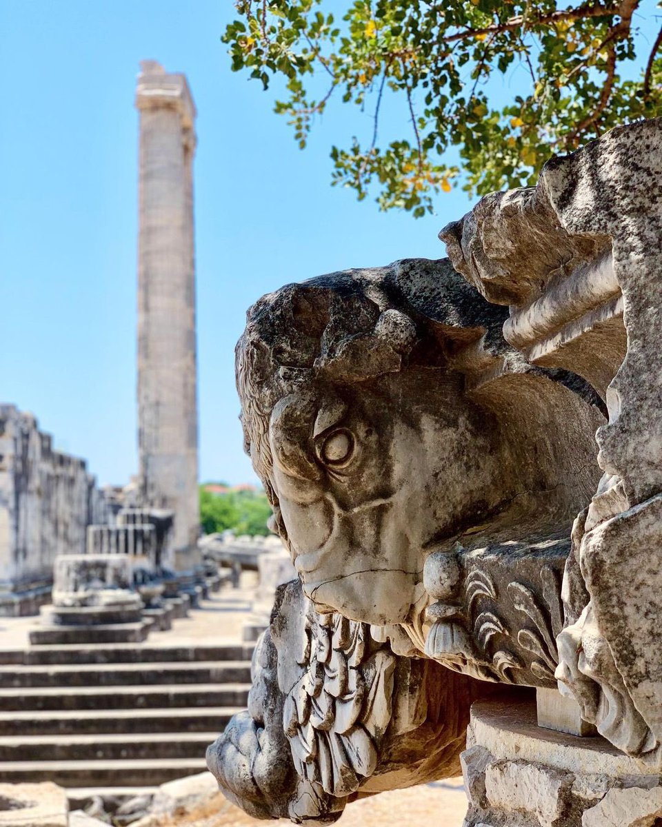 iktm09's tweet photo. Did you pay attention to craftsmanship details while visiting magnificent temple, which was never finished and surrounded by 124 columns?   The #ApolloTemple, which was oracle centre of important cities such as #Ephesus - #Priene in Panionia Union, was sanctuary of #Miletus.
++ https://t.co/eIlqHq4SCn