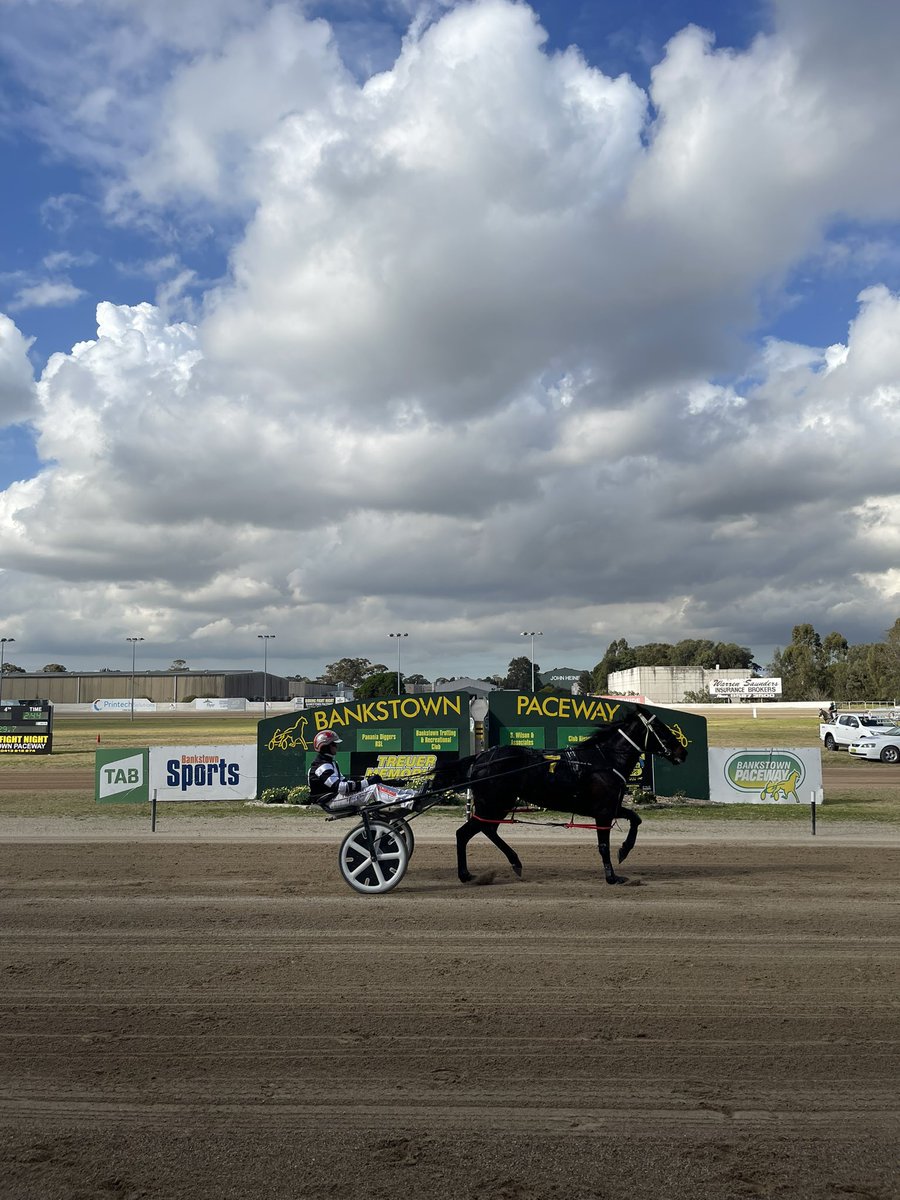 bankstownpace's tweet photo. Seven races run and won this afternoon at Bankstown. 

Thank you to the travelling trainers and drivers who continue to support the Club 👏🏻 https://t.co/Ohjx0swEUn