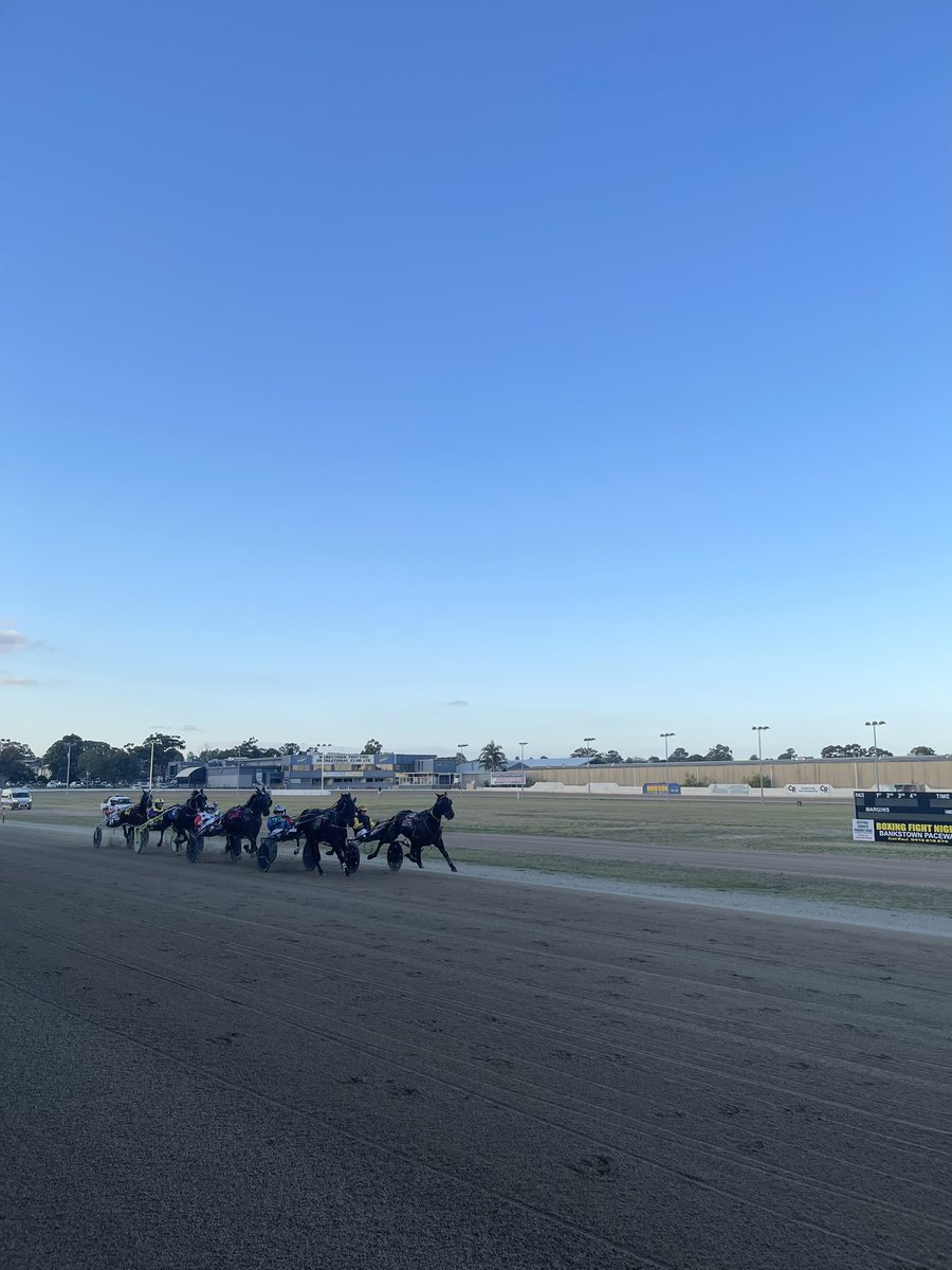 bankstownpace's tweet photo. Seven races run and won this afternoon at Bankstown. 

Thank you to the travelling trainers and drivers who continue to support the Club 👏🏻 https://t.co/Ohjx0swEUn