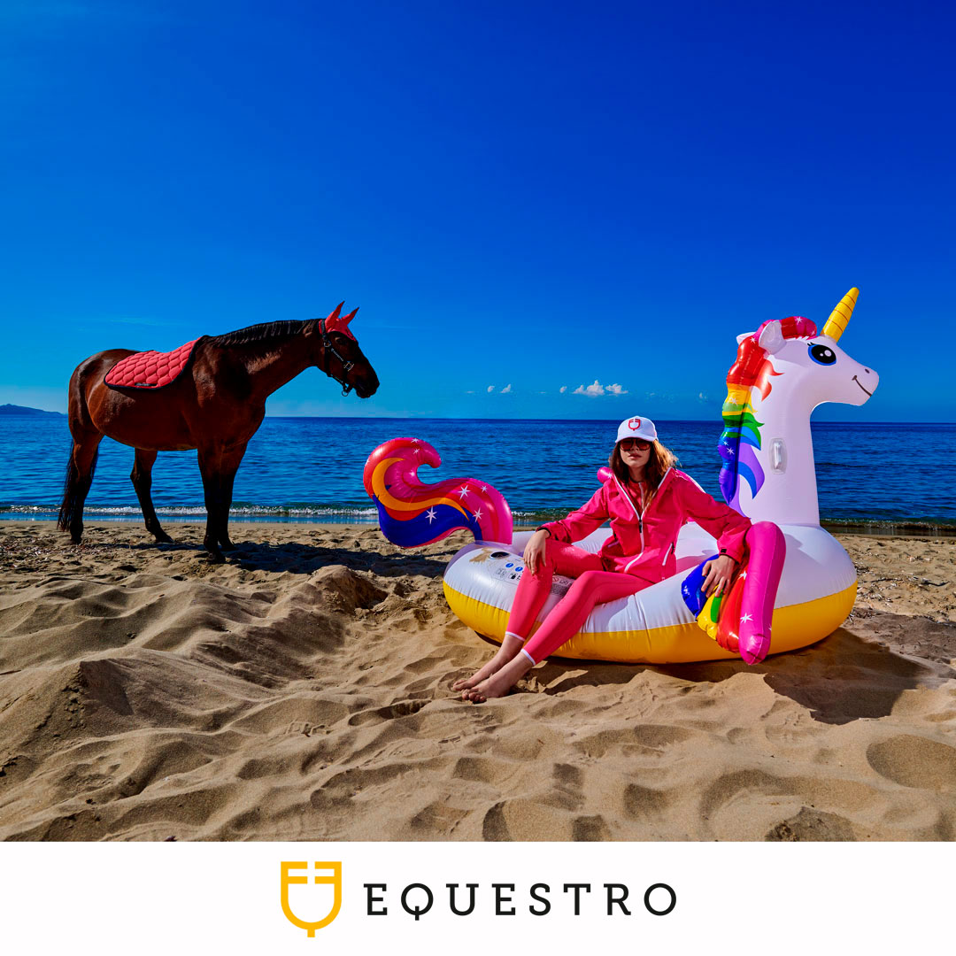 Zaldihipica's tweet photo. ¡Lunes!
¿Estás de vacaciones?
Disfruta al máximo de tu pasión por la equitación donde sea ¡Tenemos la ropa de equitación perfecta!
Combina comodidad, funcionalidad y estilo. Diseño italiano: https://t.co/kqYZg6gS5W
Pregunta por #equestro en tu tienda hípica habitual https://t.co/4hofLKKatl