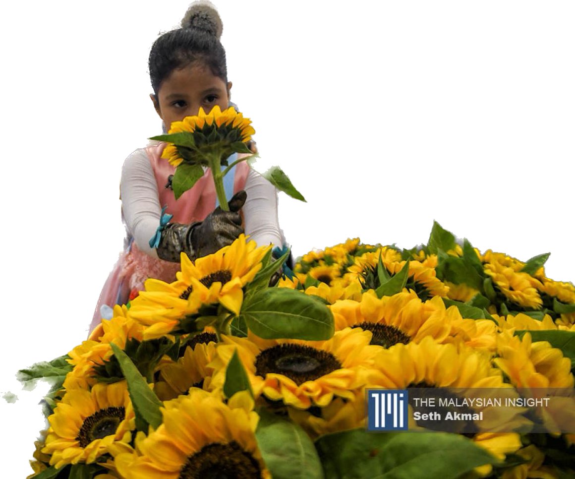 Mossenlechner's tweet photo. 9 years ago
298 innocent lives lost
Always in our ❤️ 

We will continue to stand by their loved ones 

#MH17 https://t.co/uHheqBNM4x