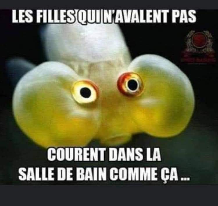 Soni_a1979's tweet image. #humour #Memes #coquin #avale #pipe #femmes #vecu #FunFact #sexy