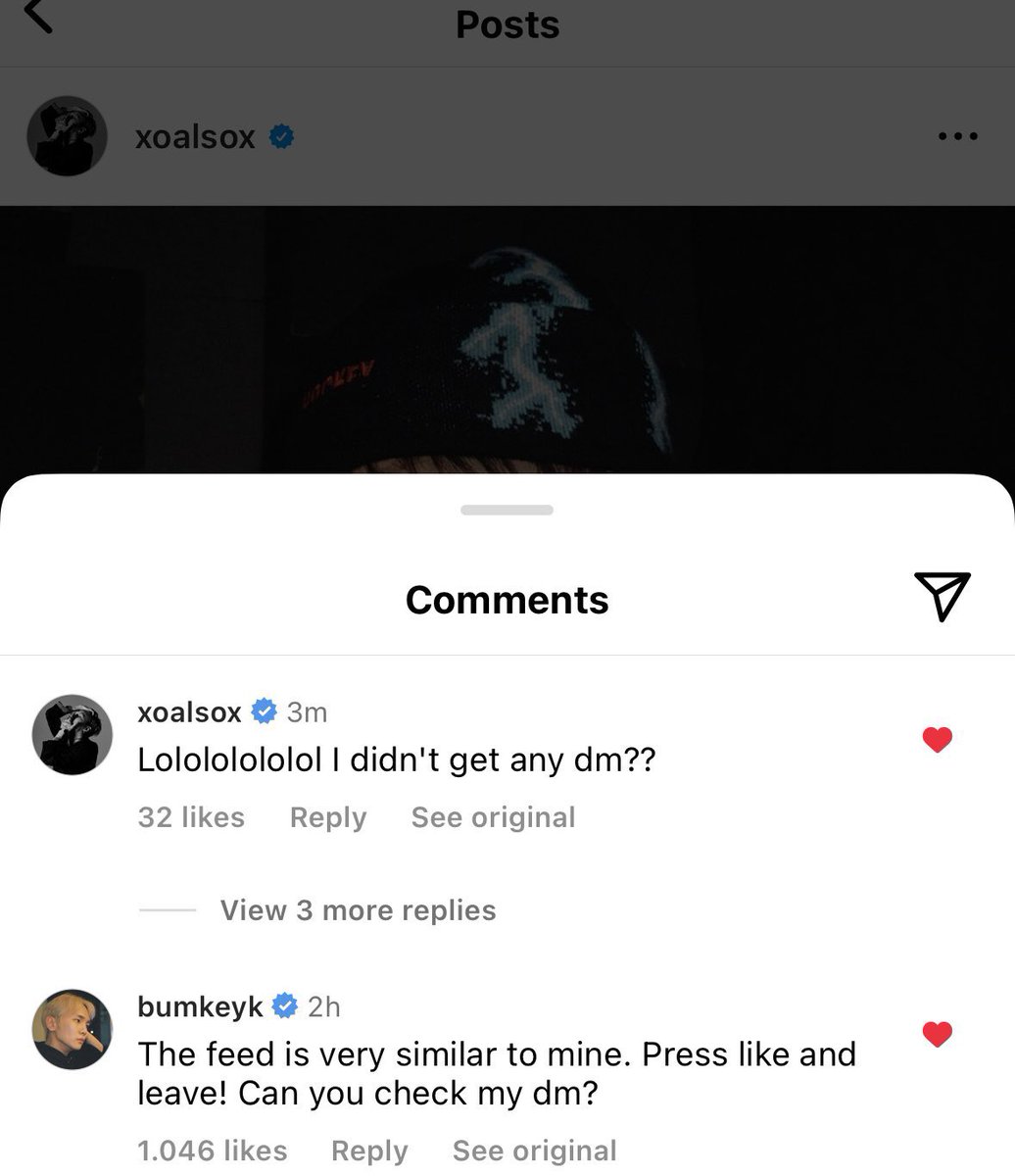 THE GIRLS ARE FIGHTING