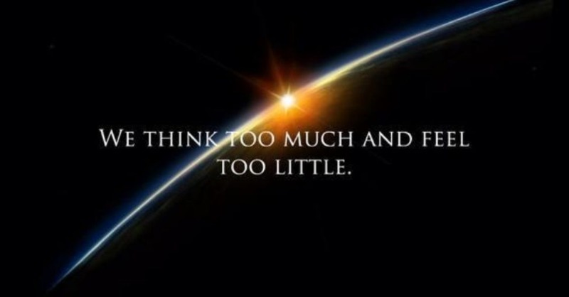 David Riklan tweet media