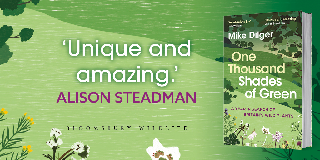 One Thousand Shades of Green: A Year in Search of Britain's Wild