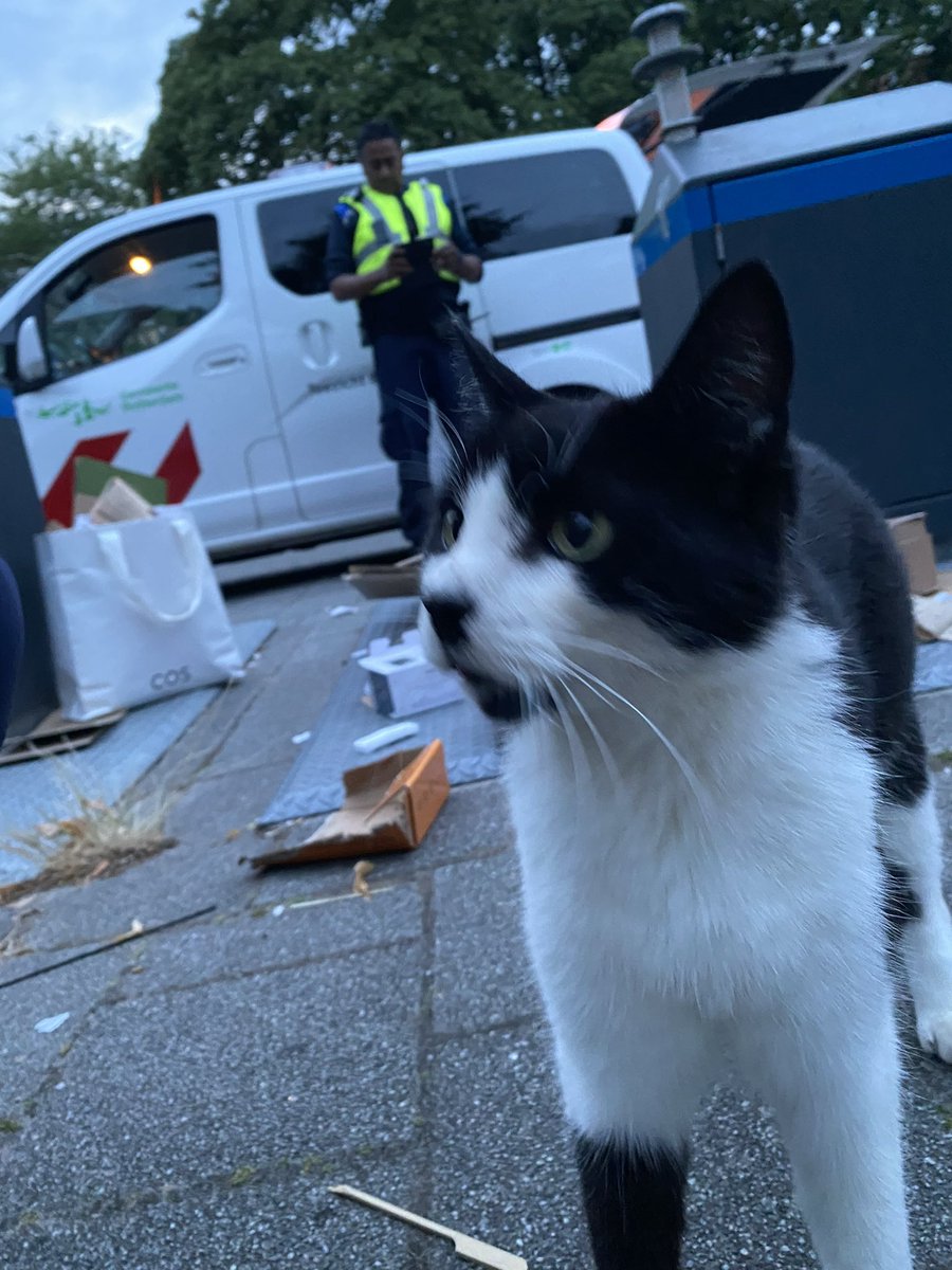 Tijdens surveillance reden wij op de Bergselaan (Noord-010), daar zagen wij diverse #naastplaatsingen. Hieruit hebben wij 16 proces verbalen opgemaakt. 

Ps. We hadden nog een nieuwsgierige 🐈‍⬛ die kwam even controleren😅

^Re.