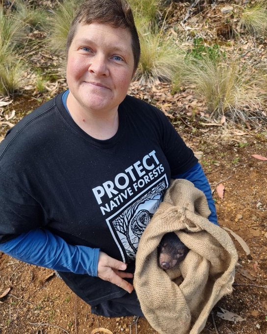 Wilderness Society condemns imprisonment of Colette Harmsen! Imprisoned for standing up for nature when govts more interested in criminalising protest than stopping industrial activities driving extinctions & greenhouse effect. #politas wilderness.org.au/news-events/wi… @BobBrownFndn