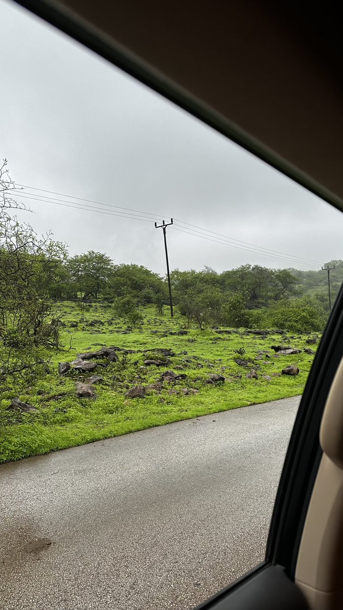 جيتوا صلاله ولا بعدكم🥹💚💚💚🌱