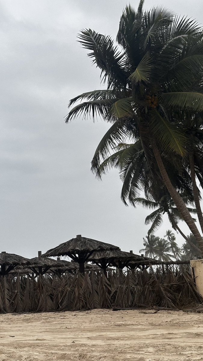 Salalah2023🤍🌱. 
#صلالة