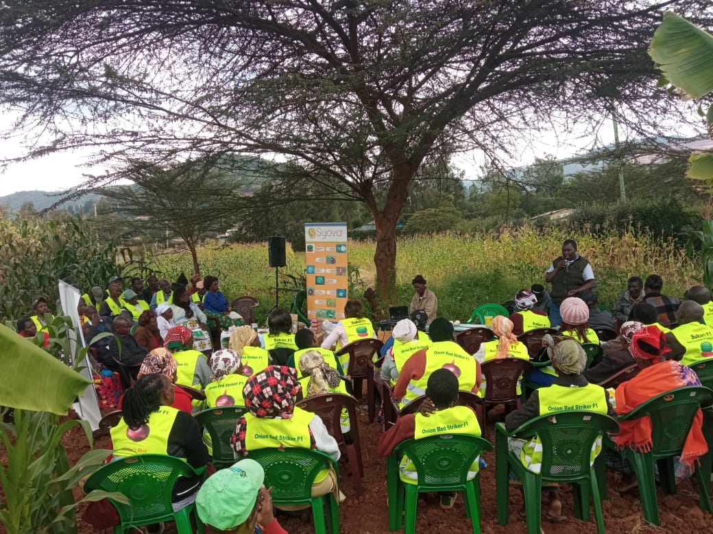 Farmtrack Consulting provides a comprehensive consultancy service to  our farmers as well as plantation crops such as coffee, mangoes, avocado, tomatoes and others. We work with both large and small-scale growers.