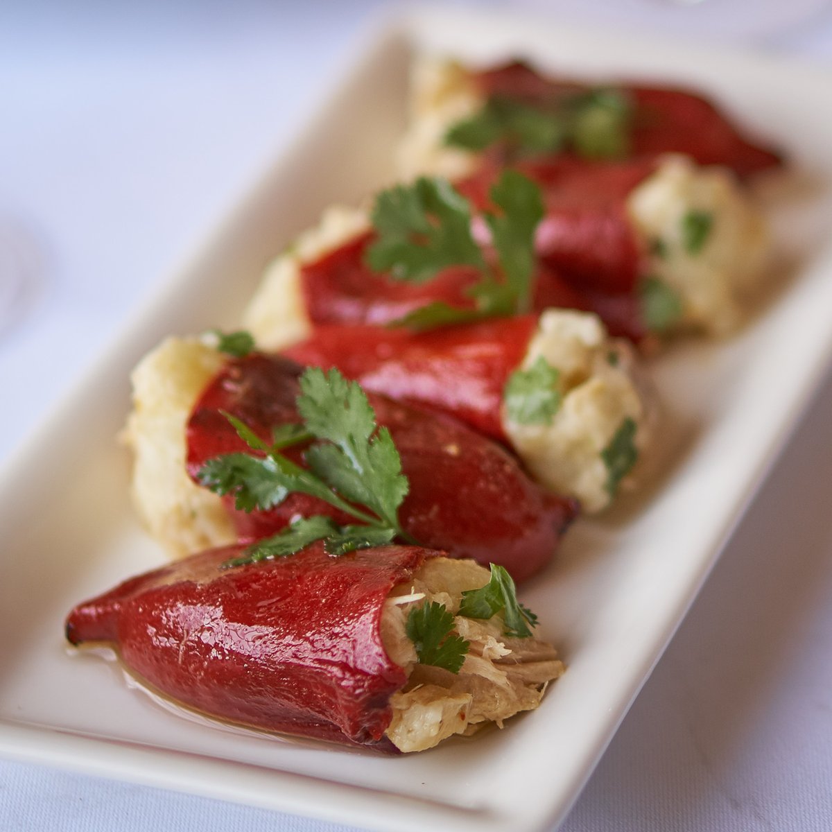 Lorea desde 1867 tweet media