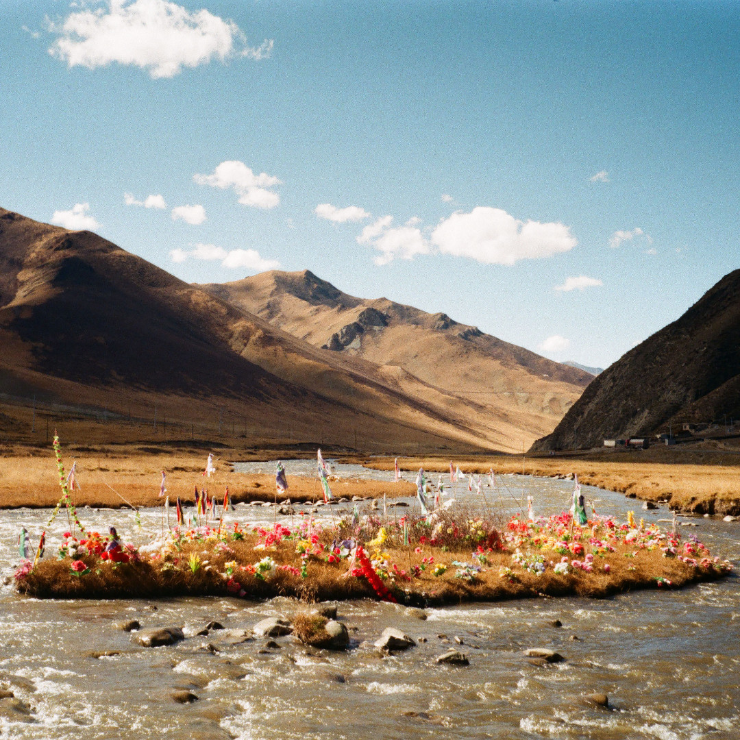 Zabludowicz Col. tweet media