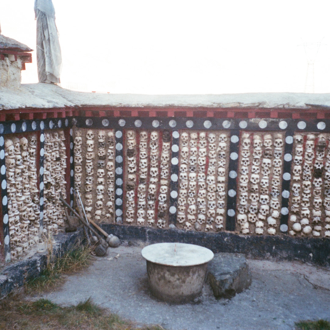 Zabludowicz Col. tweet media