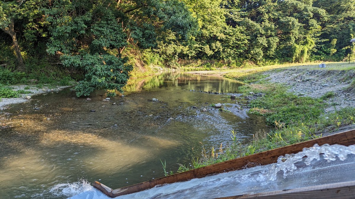 tami_frd's tweet image. 今日も一日、お疲れさまでした。
#ときたまひみつきち
#COMORIVER #コモリバ