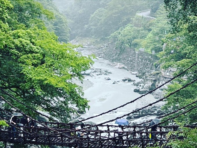 代引き人気 油彩画「祖谷のかずら橋」額入F8号 絵画/タペストリ - www