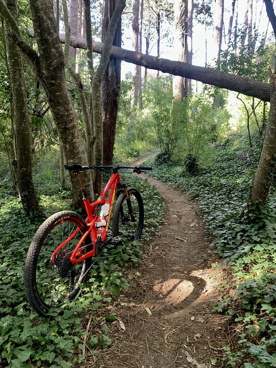 Signal Bikes (@signalbikes) on Twitter photo Where do your Signal take you this weekend?
We are #RealRacing 🚲💨🇿🇦 Where do your Signal take you this weekend?
We are #RealRacing 🚲💨🇿🇦
