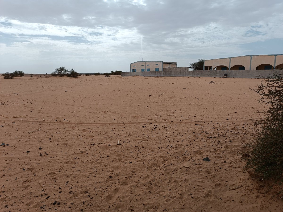 InZawnaker's tweet photo. #Azawad
#Kidal
#Tinassako Abiyou
#Azawad #Adagh #AdrarDesIffoghas #Désert #Ténéré #Sahara 🏜️📸 https://t.co/ukeqflJjBm