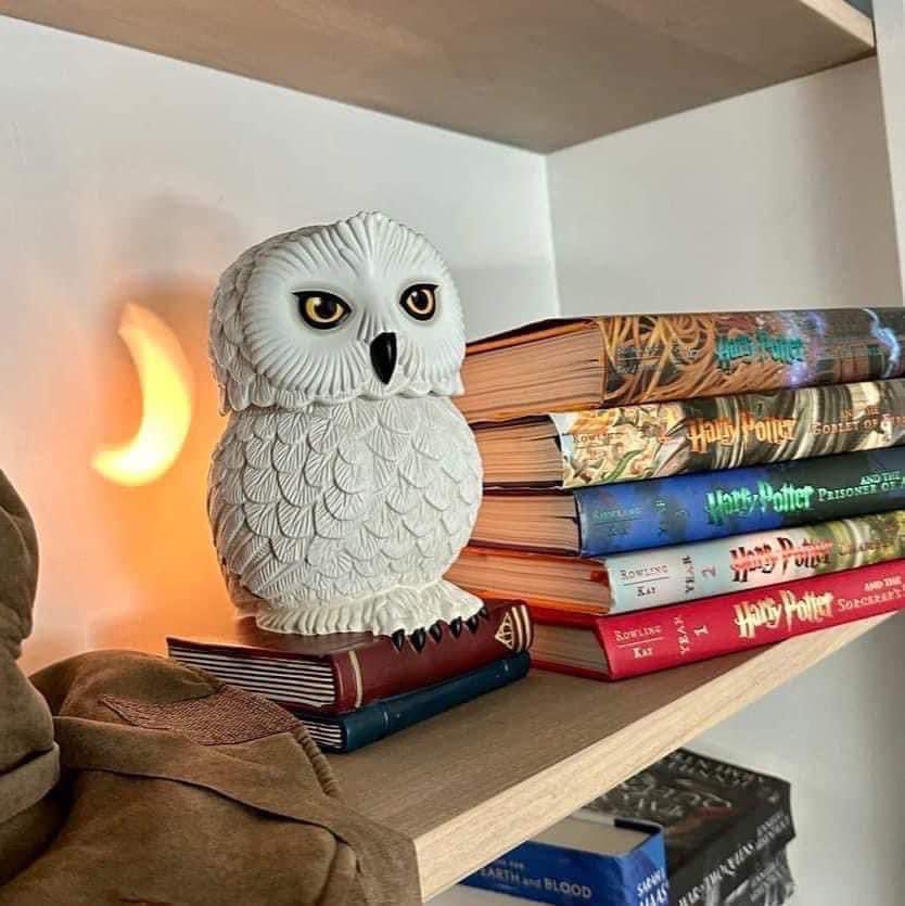 GScents_Kim's tweet photo. A brand new Hedwig mini warmer is flying in TONIGHT at 7pm alongside the returning full sized warmer and Hogwarts Houses wax bars.

 https://t.co/KsKTU7T0eS

#harrypotter #hedwig #hogwarts #scentsy #getscentswithkim #waxmelts #waxwarmer https://t.co/QpYDzhjQMJ