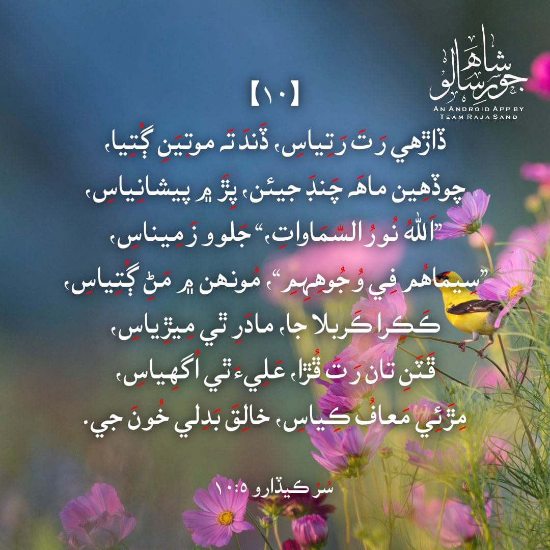 LateefiSaleem's tweet photo. *السلام علیکم يا علي عليه السلام مدد* ❤️ https://t.co/OkoiGae4Pl