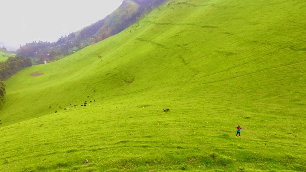 JumbaDrc's tweet image. 🇨🇩 #RDCongo 
🚦#NordKivu
📍#Mushaki #Masisi 
La RDC peut être une des meilleures destinations touristiques au monde si les autorités prennent conscience.
Suivez l’intégralité 👉 youtube.com/watch?v=yNtSYx…
@wode_maya 
@leParrainRDC @damkup @CivuadiKalanga @central_sage @central_sage