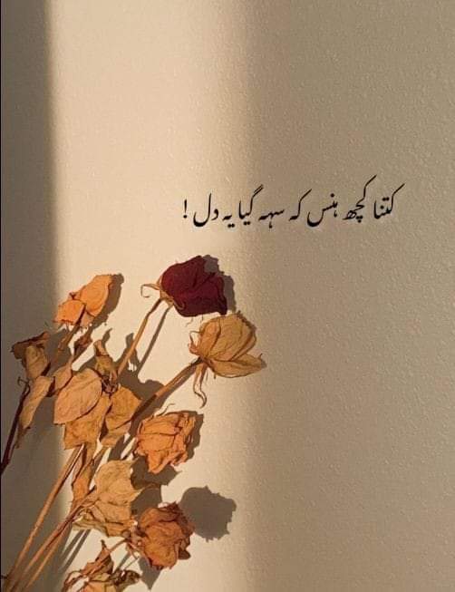 BeniAli⭐⭐🌙 🇵🇰 tweet media