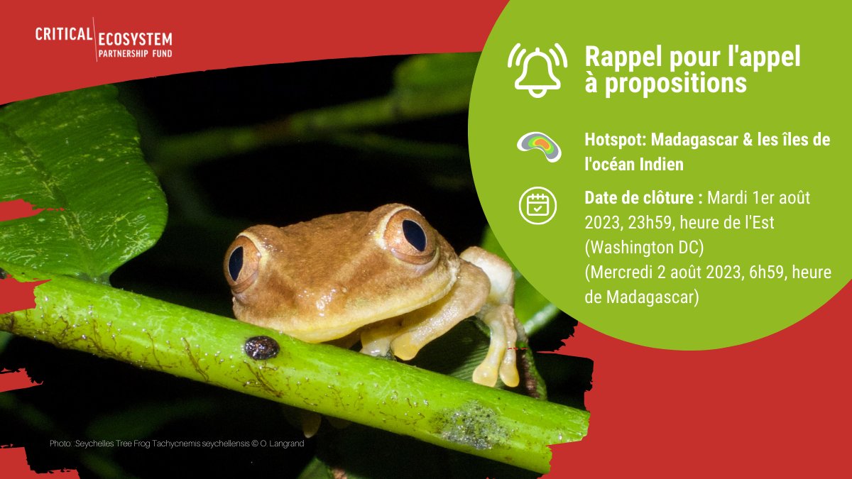 SAF_FJKM's tweet photo. RAPPEL pour l'appel à propositions. 

Date de clôture : 02 août 2023, 6 : 59 (heure de Madagascar.
#CEPF #biodiversity #conservation #climatechange #SAF_FJKM https://t.co/80ujZzhLR9