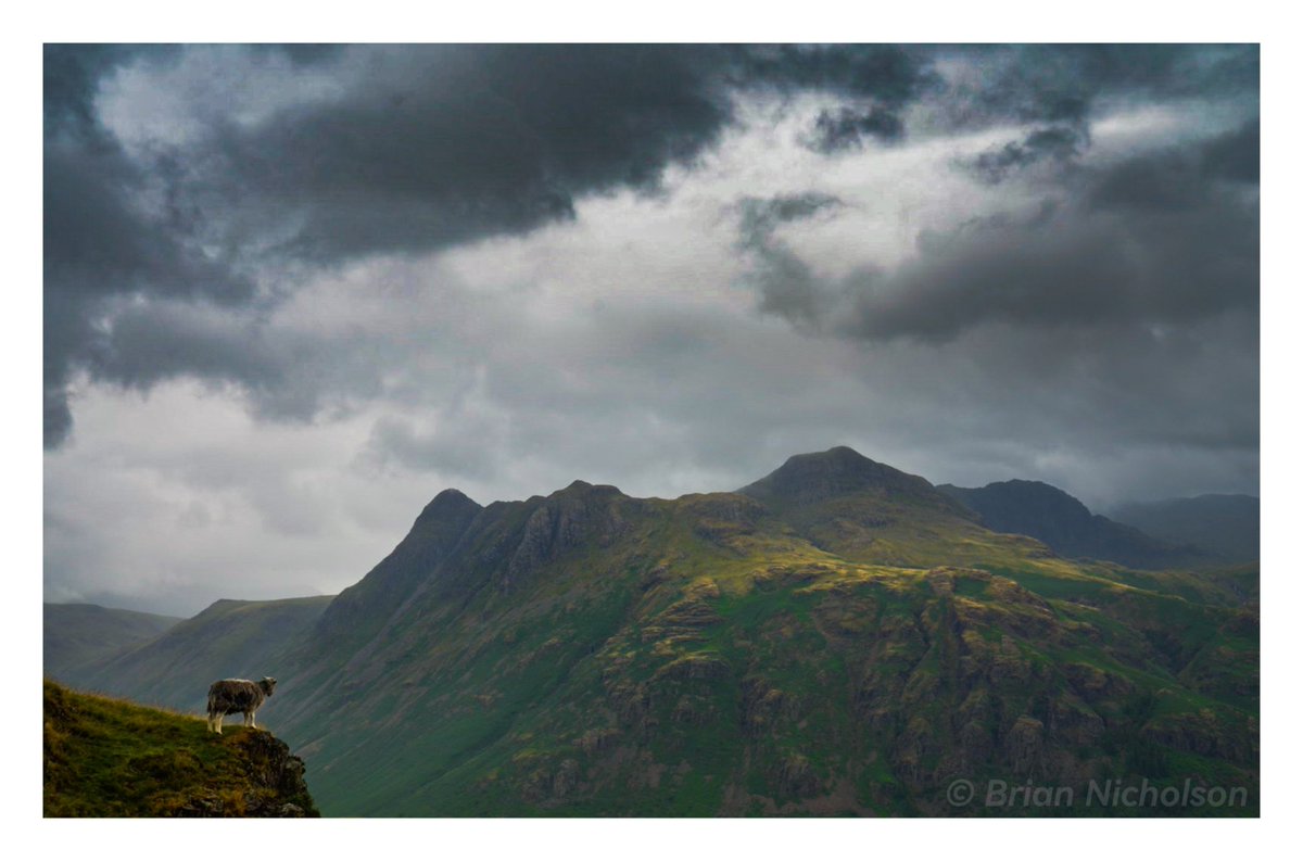 BrianNi18029440's tweet photo. On the Edge.

Last Friday I planned to hike Pike of Blisco a 705m fell, unfortunately I had to back track due a deterioration in the weather...on a positive note I saw some quite dramatic clouds and conditions on the way up.
#lakedistrict
#dramaticscenery 
#landscapephotography https://t.co/KVapxRFIXJ