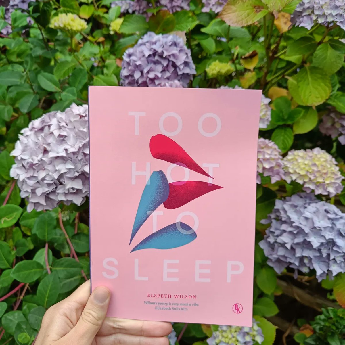 Elspethwriter's tweet photo. I love these pictures of Too Hot to Sleep blending in with the candyfloss puffs of this hydrangea! If you want a summery read about first love in all its forms you can order a copy from @bentkeypublish (they ship internationally too!) x

https://t.co/dnYGRpcG6Q https://t.co/n5MkJ9sLOU