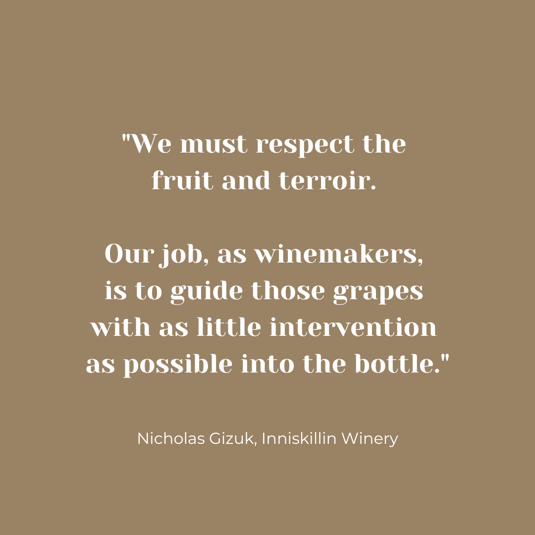 IcewineA's tweet photo. Experience minimal intervention at its finest with Nicholas Gizuk's philosophy of varietal authenticity. Discover award-winning Inniskillin wines at https://t.co/x4aWq4Q69X. Elevate your fine dining with us. #Winemaking #Terroir #Inniskillin #FineDining" https://t.co/7oUOWL5vuM