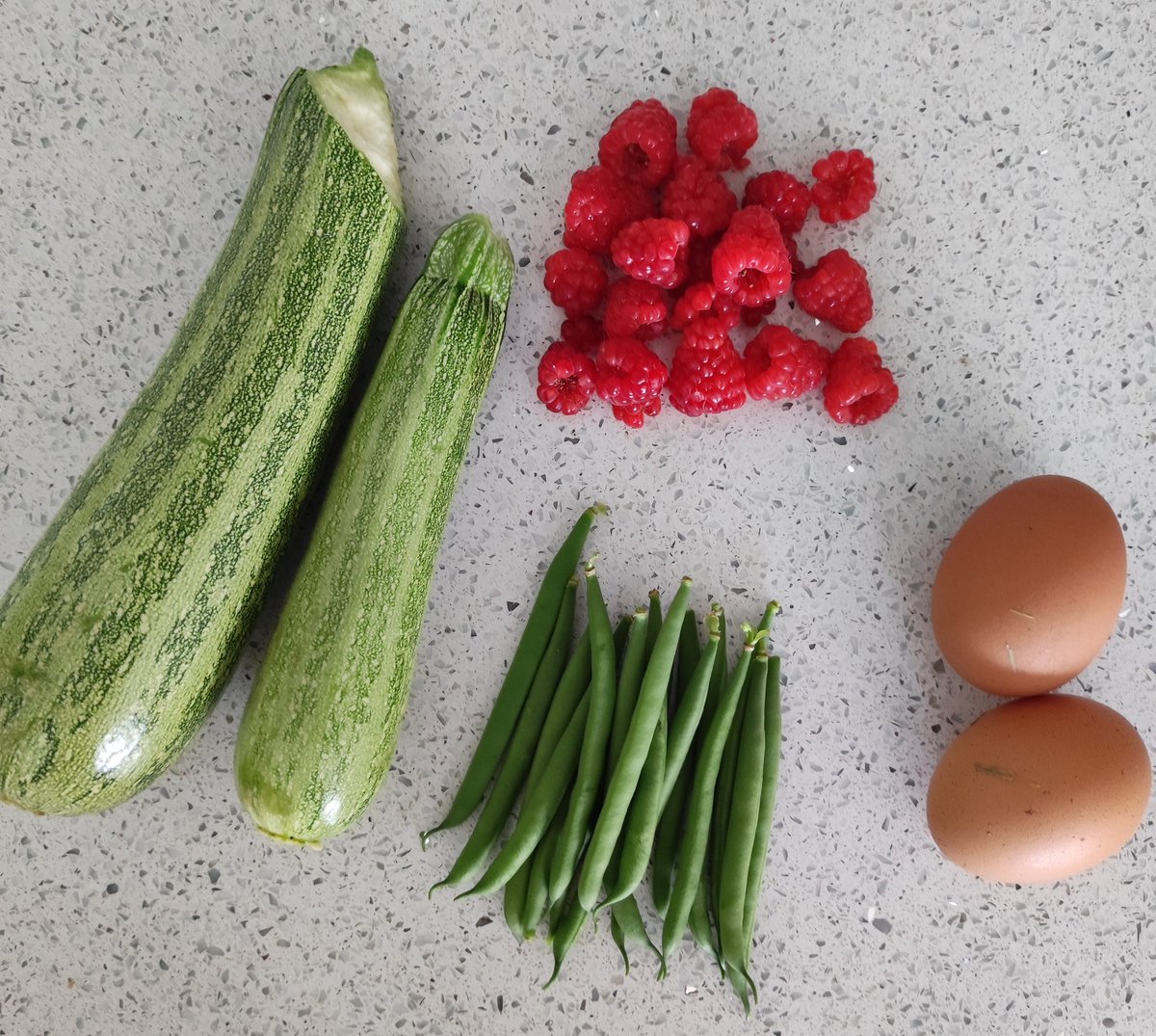 Mr_PaintPots's tweet photo. This morning's crop. #homeproduce https://t.co/lYBwedjq9k