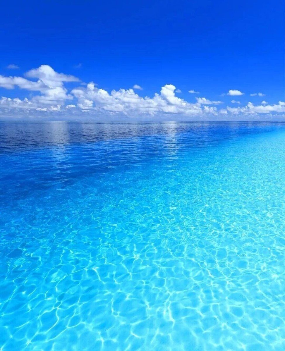 ⟫✧◦   Endless blue ...  ◦✧⟪
I love sea 🌊 🩵💙🩵