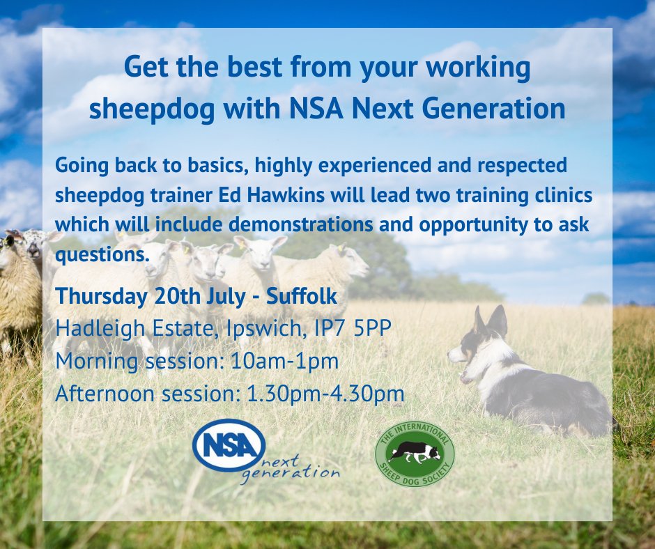 natsheep's tweet photo. NSA Next Generation - Top tips for training your sheepdog takes place tomorrow in Suffolk!🐑🐕
Experienced and respected sheepdog trainer Ed Hawkins will lead two training clinics at Hadleigh Estate, IP7 5PP.
https://t.co/ymK8fADO71
@TheISDS
#nsanextgeneration https://t.co/Sk1L7tsEdH