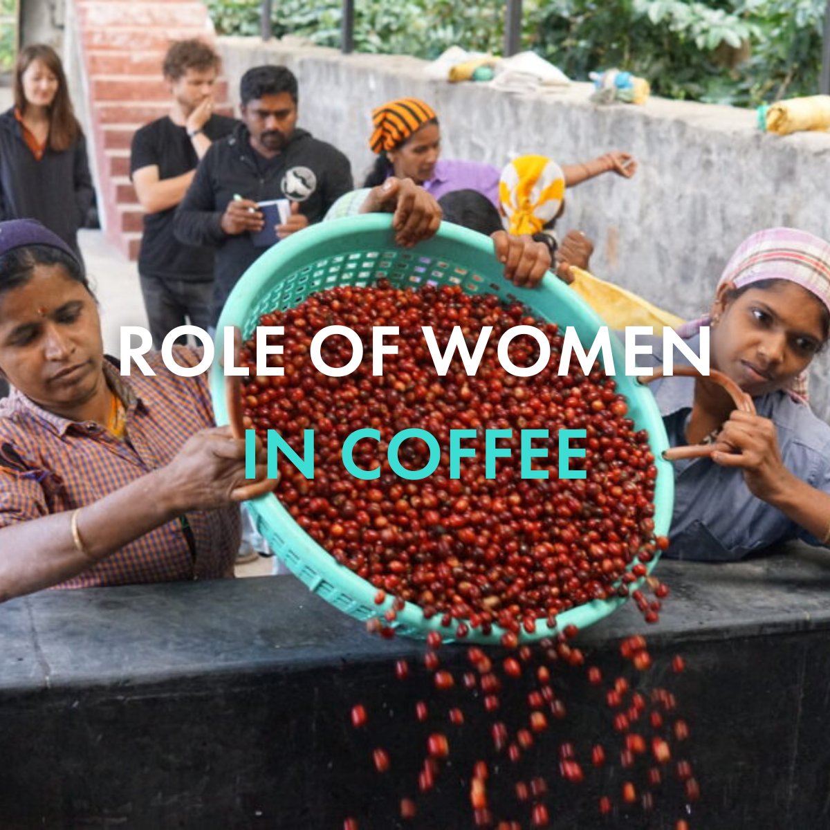 Condesa Co. Lab tweet media