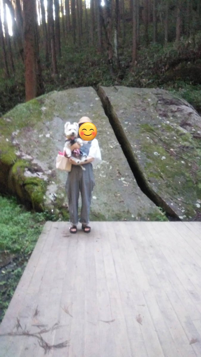 トップの健康祈願にパワースポットと言われている奈良の柳生の里、天の石立神社に行ってきました。鬼滅の刃の一刀石でも有名だそうです🐶