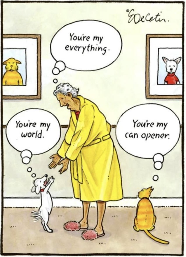 Christian Steinmetz (@chrsteinmetz) on Twitter photo 