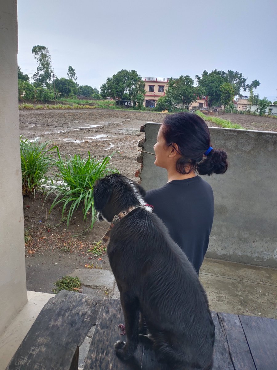 priyapth380's tweet image. &quot;Embrace the monsoon&apos;s joys, for within lies the belief that it shall pass, just like the arduous expedition of a PhD.&quot;🐶😎
#phdvoice #phdlife #phdthoughts #phdchats  #phdworld #appreciating #monsoon #with #my #furry #friend...