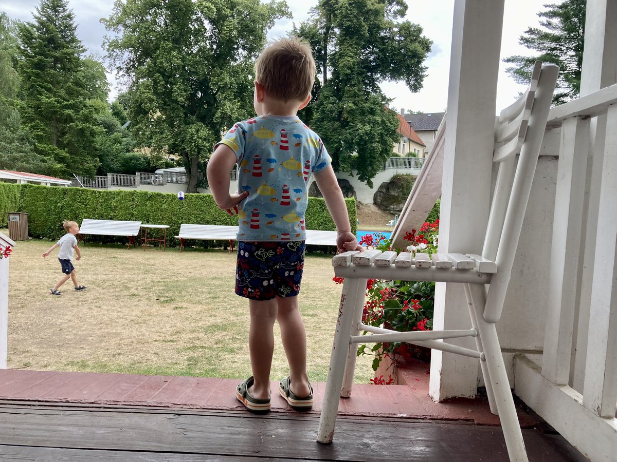 Jan Handl 🥸 tweet media