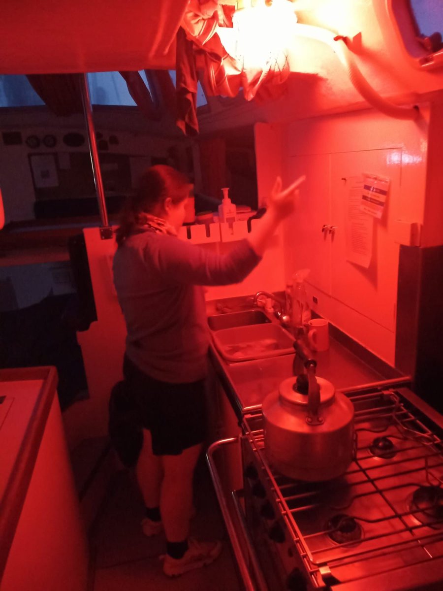 Offshore: It's Your Adventure tweet media