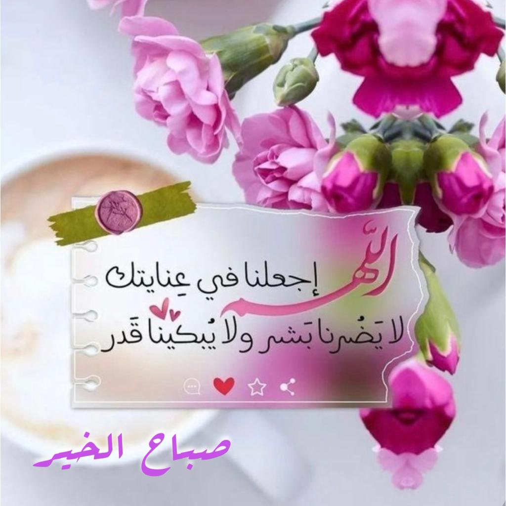 Koko (@niko55550) on Twitter photo 