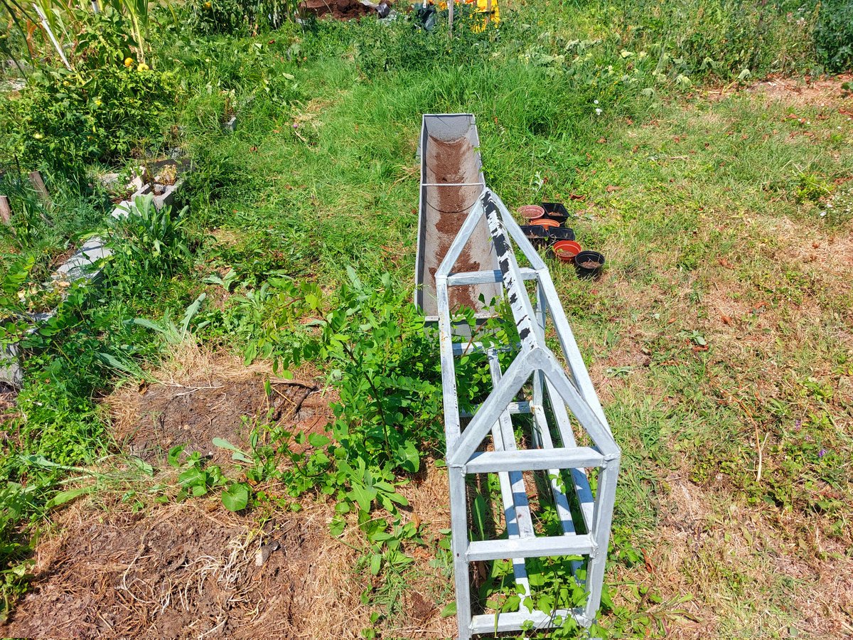 washing on. Fish defrosting. emptied growing containers and put away. Staked potato sacks. animals have fresh water. Doggie mine clear. Collected eggs. All the jobs are done now. 39c is too hot to work.