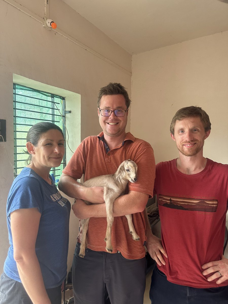 Saw pregnant goat, watched it give birth. Baby goat cuddles now #fieldwork