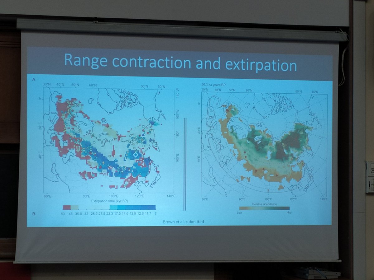 OndrejMottl's tweet image. Damien Fordham shows a captivating presentation about methodological advances in #SDM in paleo records to simulate extinction rates. Really important and relevant for my #BIODYNAMICS project. In addition, concurrently the best visualization I saw during the conference🙌🖼️👏