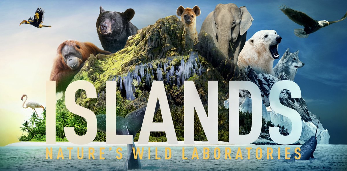 Delighted at last to announce that our new series will start on @skytv at 7pm BST Sunday 23rd July. Huge thanks to the incredibly talented team around the world who captured these fantastic stories!  #wildlife #wildlifedocumentary #tv #islands https://t.co/S1xExm2F6d