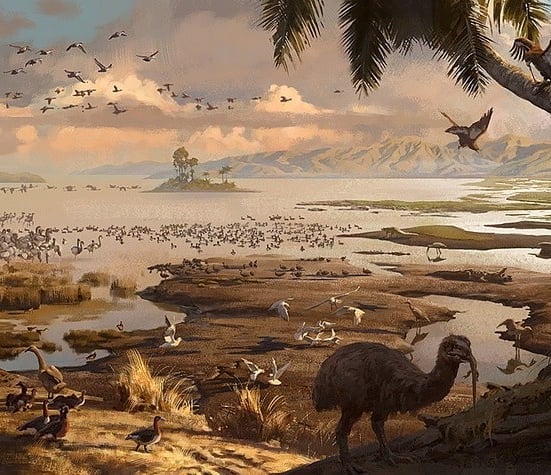 RT @tm_creatures: Miocene New Zealand Saint

Bathan's Lake. https://t.co/o7xixwfwYq