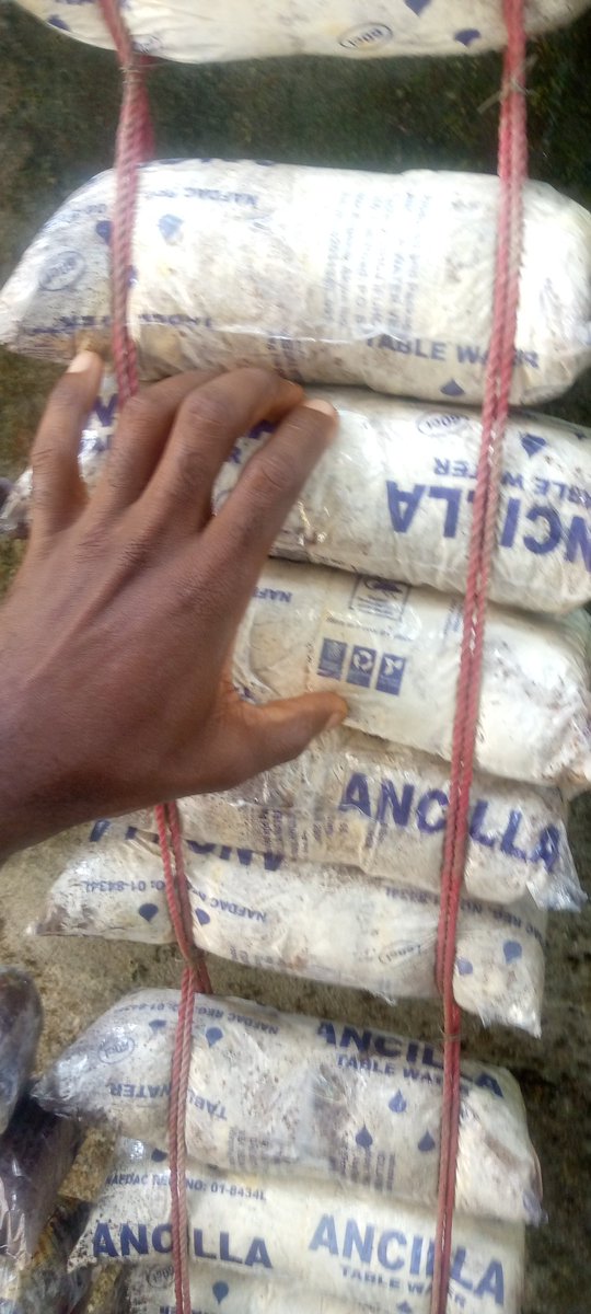 bebienang1's tweet photo. We also train and set up farm.

#mushroom
#wastetowealth 
#sdg
#narure https://t.co/3K0tjUwg6f