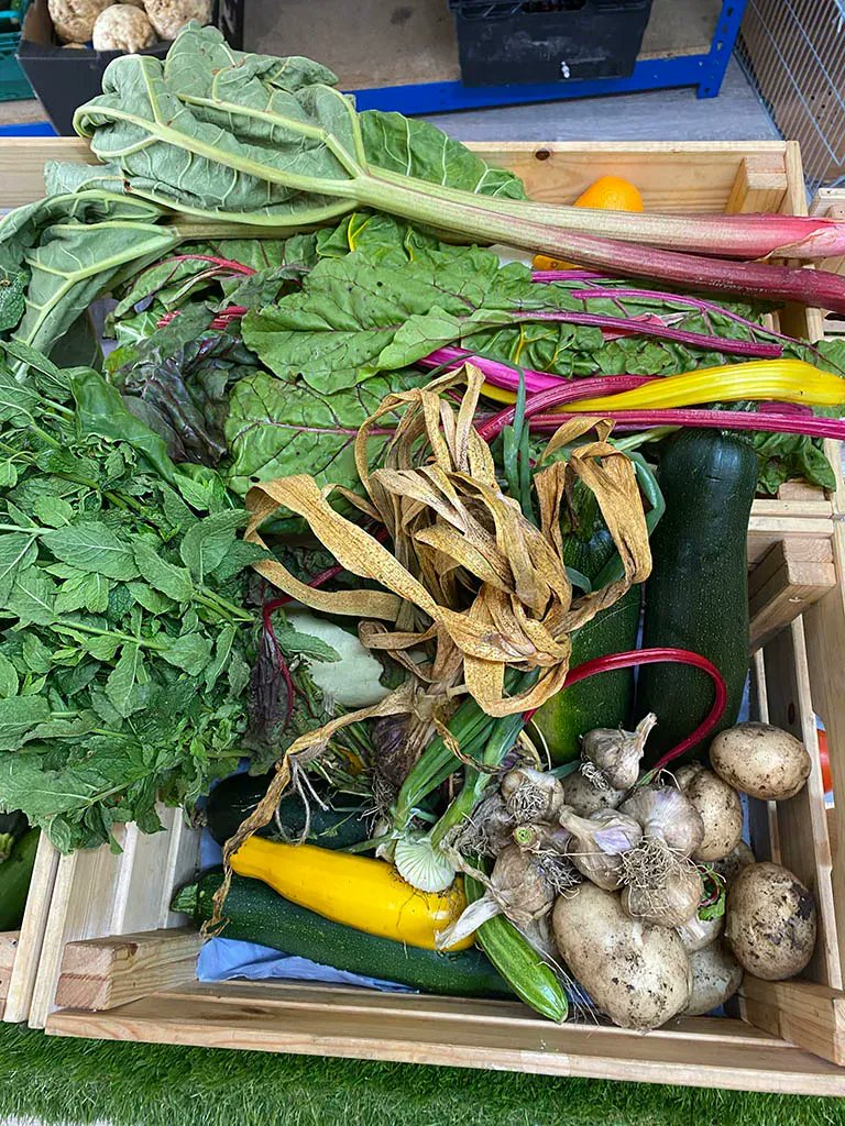 CropDropBanes's tweet photo. CropDrop are delighted to share that we are supporting the @RootsAllotments community abundant produce.

On 10/7 Fiona from @MercyinActionUK collected the first donation for their amazing Action Pantry in Twerton.

One of the delighted customers said "the garlic was really nice". https://t.co/jfKMnX9X6f